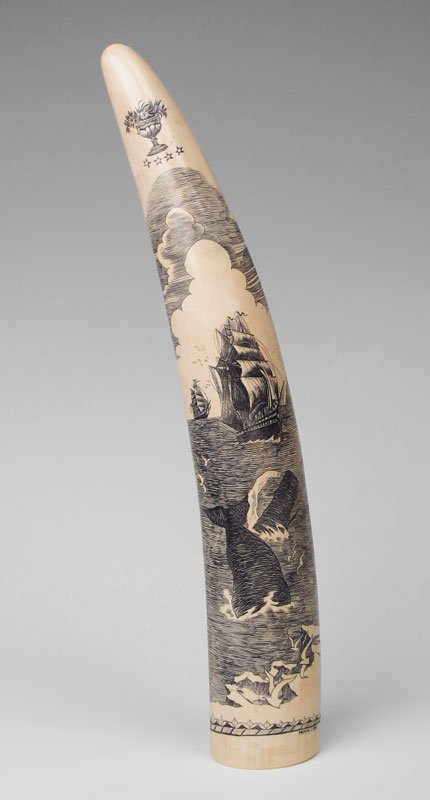 LARGE FRANK O. DAY SCRIMSHAW WALRUS TUSK: LARGE FRANK O. DAY SCRIMSHAW WALRUS TUSK: Scrimshaw with elaborate scene featured 2 clipper ships, sperm whales, seagulls and lighthouse. All below a urn with flowers and 4 stars. Signed Frank O. Day.