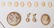 322: CARVED SHELL CAMEO COLLECTION - 2
