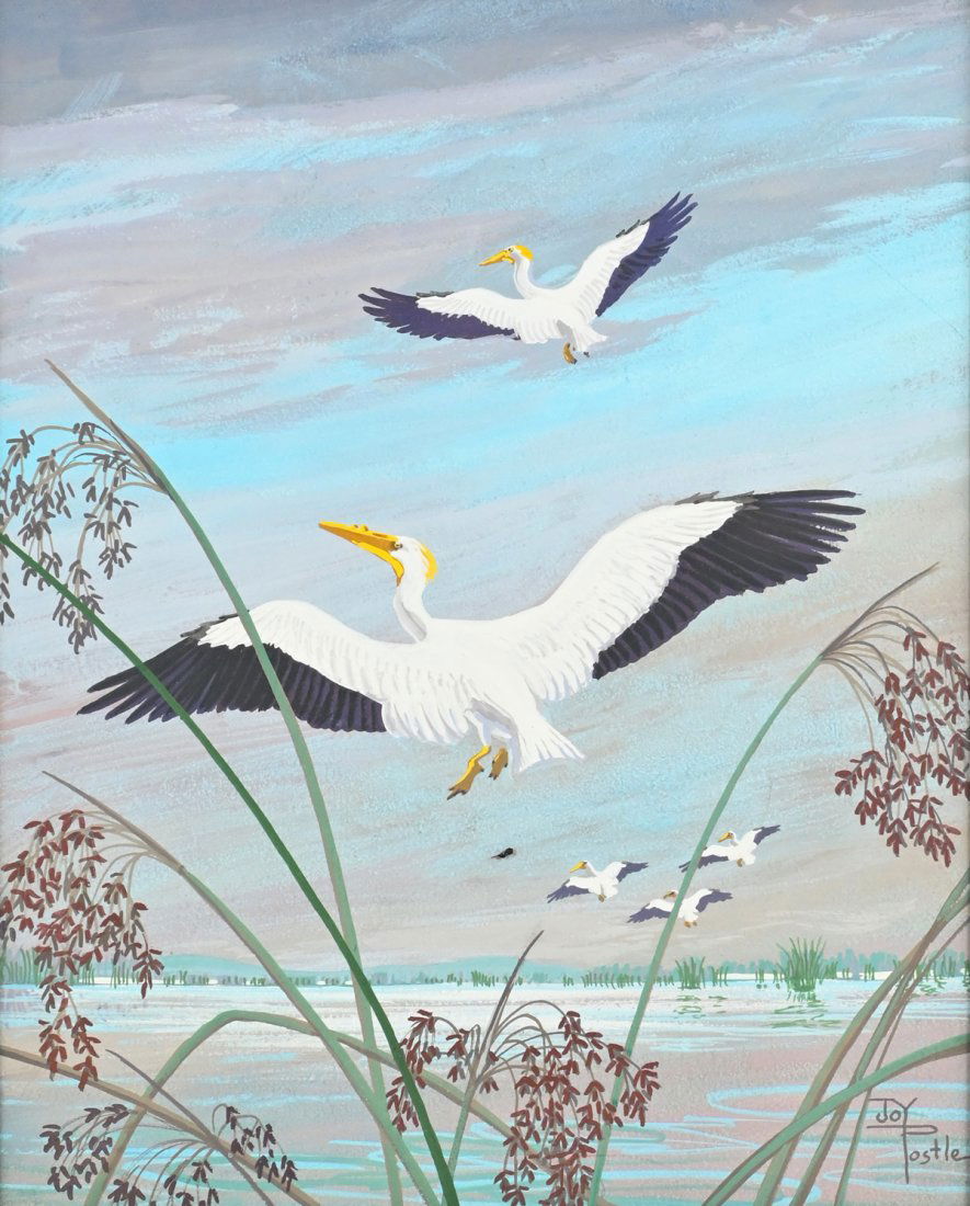 JOY POSTLE FLORIDA PELICANS PAINTING (1 of 5)