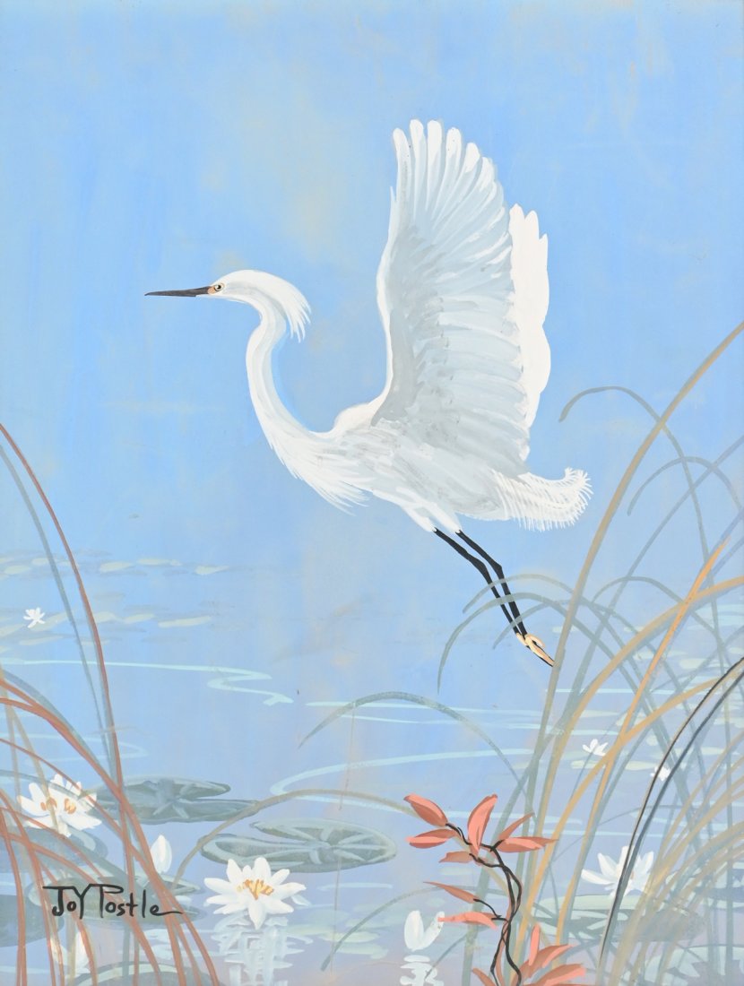 JOY POSTLE PAINTING “LITTLE SNOWY EGRET” (1 of 4)