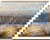 LARGE TROY COLLINS BIRCH FOREST PAINTING