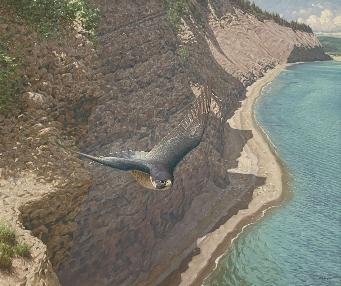 CLAUDIO D'ANGELO PEREGRINE CANADIAN PAINTING (1 of 3)