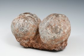 2 FOSSILIZED DINOSAUR EGGS