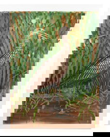 LARGE JOHN COSTIN "LIMPKIN" COLORED ETCHING