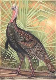 JOHN COSTIN WILD TURKEY ARTIST PROOF ETCHING