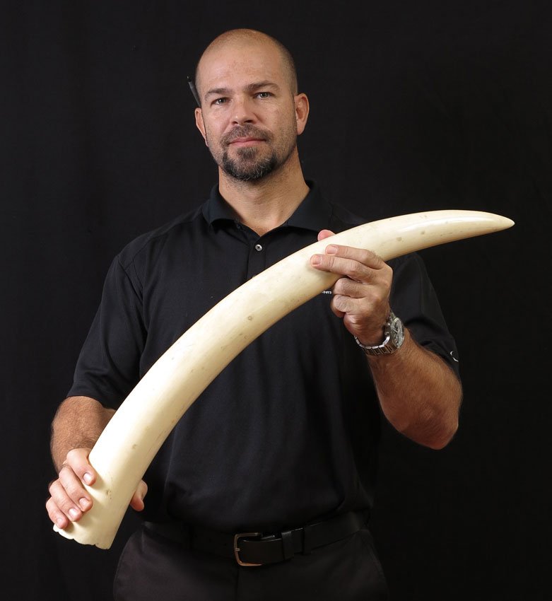 122: 30'' IVORY TUSK - Oct 21, 2012 | Burchard Galleries Inc in FL