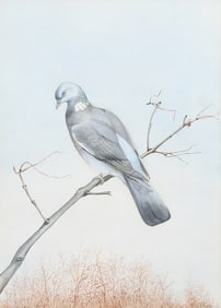 A.M. HUGHES DOVE PORTRAIT