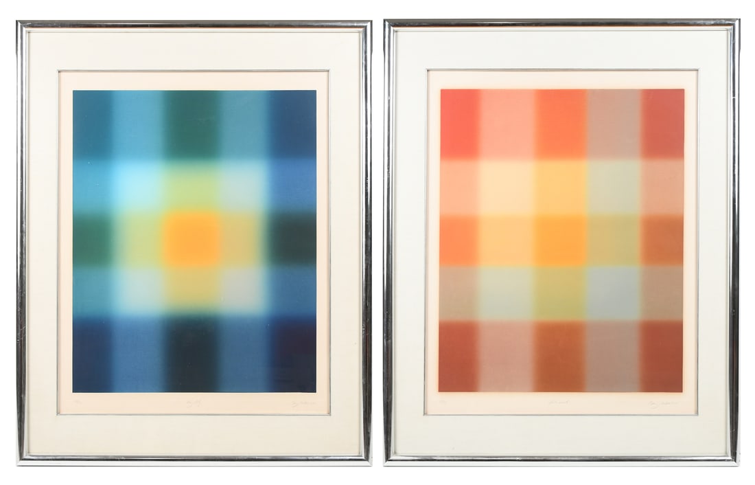 TWO LARGE BARRY NELSON MODERN ART AQUATINTS: NELSON, Barry, (English/American, b. 1937): Two Op-Art Aquatints: 1) "Day Lily", sight size 33" x 26", pencil signed lower right, titled mid margin, numbered 46/50 lower left, modern metal frame, 43" 