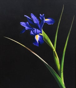OTTO DUECKER IRIS PAINTING