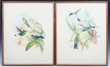 TWO GOULD HUMMINGBIRD LITHOGRAPHS