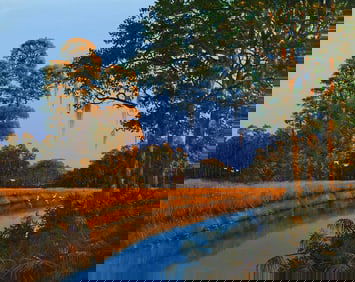 ROBERT BINKS FLORIDA CANAL PAINTING