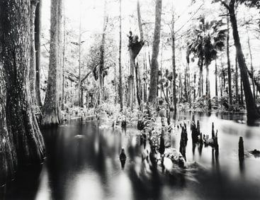 LARGE FORMAT CLYDE BUTCHER PHOTOGRAPH