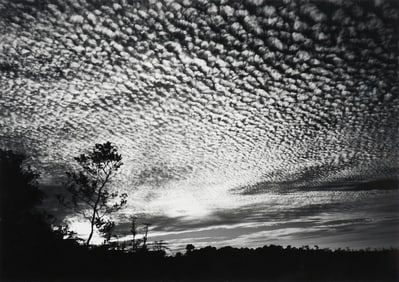 CLYDE BUTCHER - ROCK ISLAND PRAIRIE