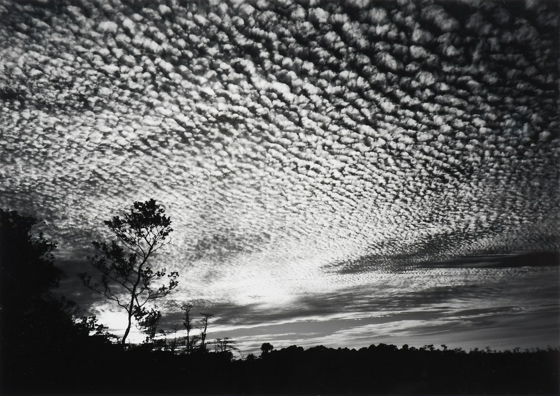 CLYDE BUTCHER “ROCK ISLAND PRAIRIE #2” PHOTOGRAPH (1 of 6)