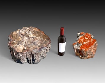 2PC PETRIFIED WOOD