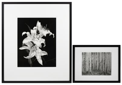 TWO LIMITED EDITION PHOTOGRAPHS BY MOHWINKEL