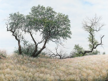 LARGE MARY JANE VOLKMANN PAINTING NAMIBIA