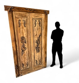 CARVED LIZARD MOTIF FRAMED DOORS