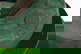 item-208508248=5