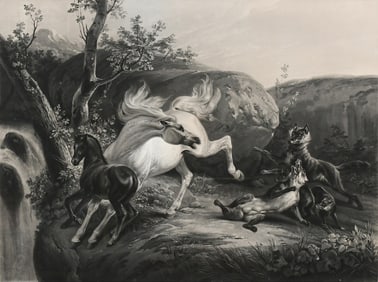 "JUMENT ET SON POULAIN" LARGE ENGRAVING