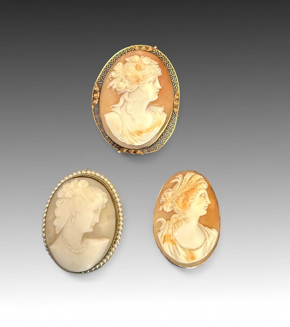 3 VICTORIAN CAMEO BROOCHES (1 of 5)