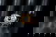item-210489199=1