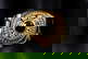 item-210489199=2