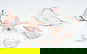 item-210867940=6