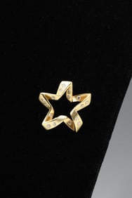 18K DIAMOND STAR BURNISHED BROOCH