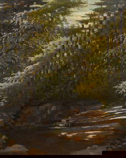 O/C WOODED STREAM: O/C WOODED STREAM: