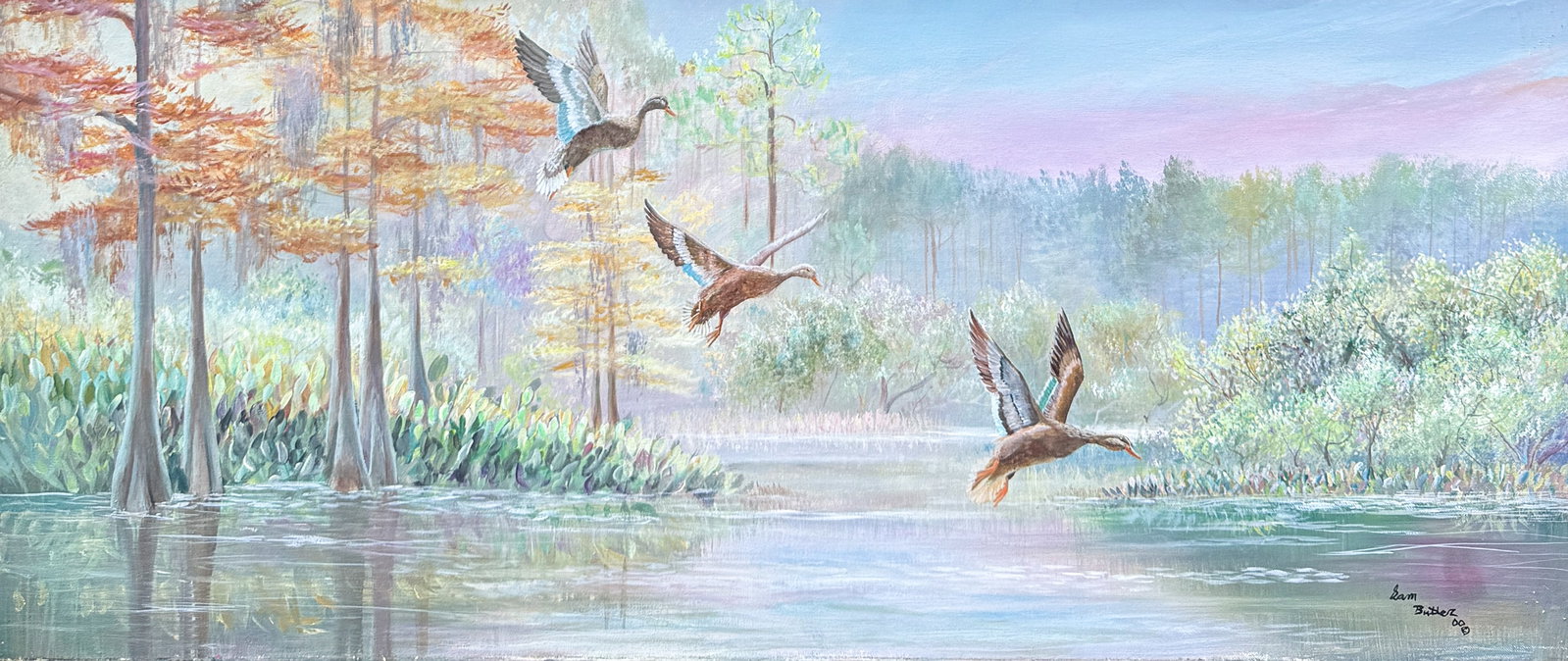 SAM BUTLER FLORIDA PAINTING WITH DUCKS: BUTLER, Sam, (American, 20th/21st Century): Florida Cypress Swamp with Ducks Landing, Oil/Canvas, 15" x 36", signed lower right, dated 2000, framed, 16.75" x 37.75". Sam is a son of celebrated Florida