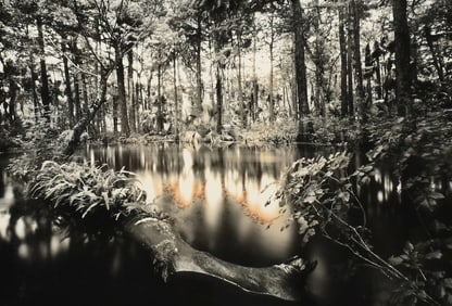 CLYDE BUTCHER "LOXAHATCHEE RIVER #1" PHOTOGRAPH