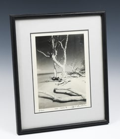 CLYDE BUTCHER "CAYO COSTA #2" PHOTOGRAPH