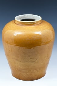 CHINESE YELLOW GLAZED HIDDEN DRAGON JAR
