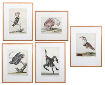 5 HAND-COLORED ETCHINGS BY PAILLOU