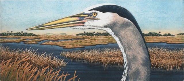 JOHN COSTIN "GREAT BLUE HERON - VISTA" ETCHING