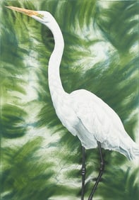 LARGE JOHN COSTIN "GREAT EGRET" ETCHING