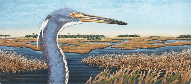 TWO JOHN COSTIN COLORED ETCHINGS OF BIRDS