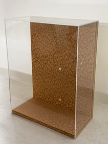 ACRYLIC DISPLAY CASE