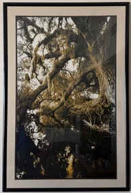 HUGE CLYDE BUTCHER PHOTOGRAPH KISSIMMEE RIVER OAK