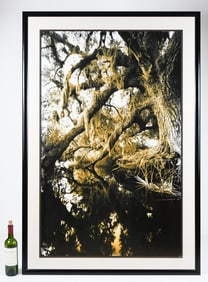 HUGE CLYDE BUTCHER KISSIMMEE RIVER PHOTOGRAPH