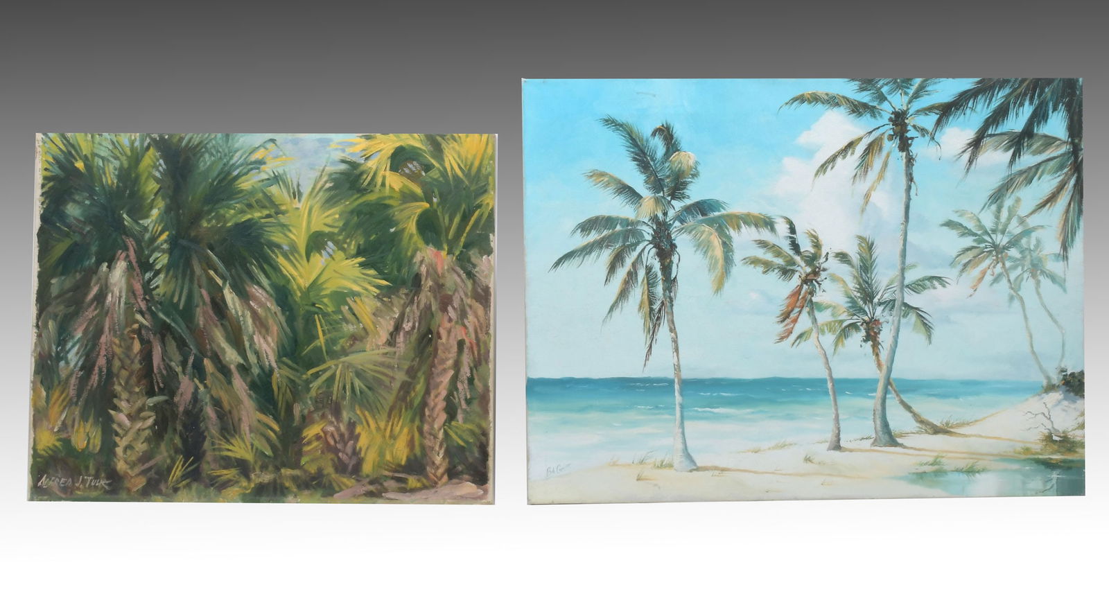 2PC. FLORIDA PAINTING LOT (1 of 6)