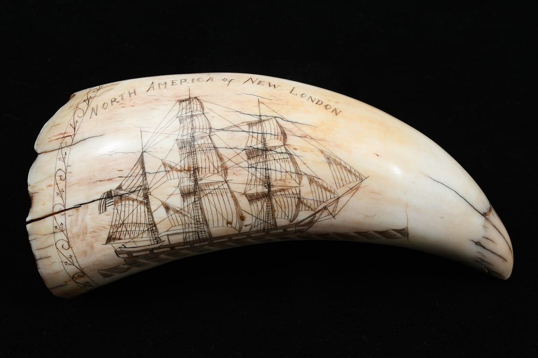 AMERICAN FIGURAL SCRIMSHAW WHALE TOOTH (1 of 6)