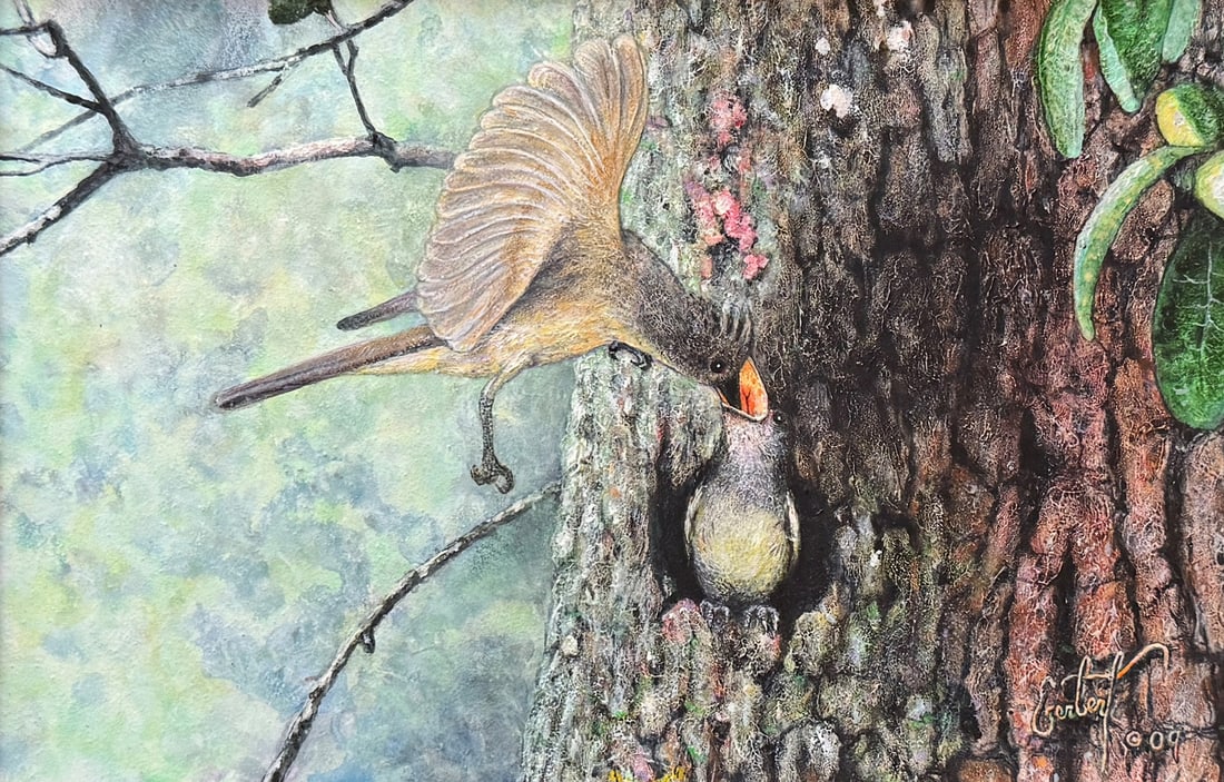 PETER GERBERT FLYCATCHERS OFFSPRING (1 of 3)