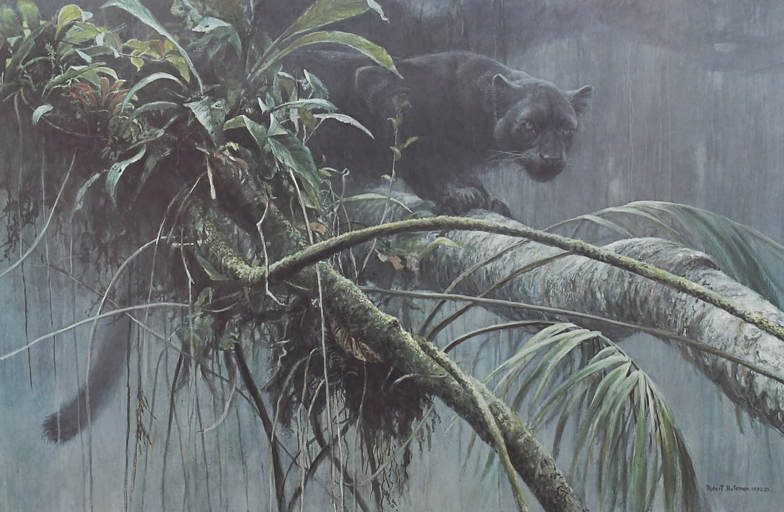 ROBERT BATEMAN "SHADOW OF THE RAINFOREST" LITHOGRAPH (1 of 4)
