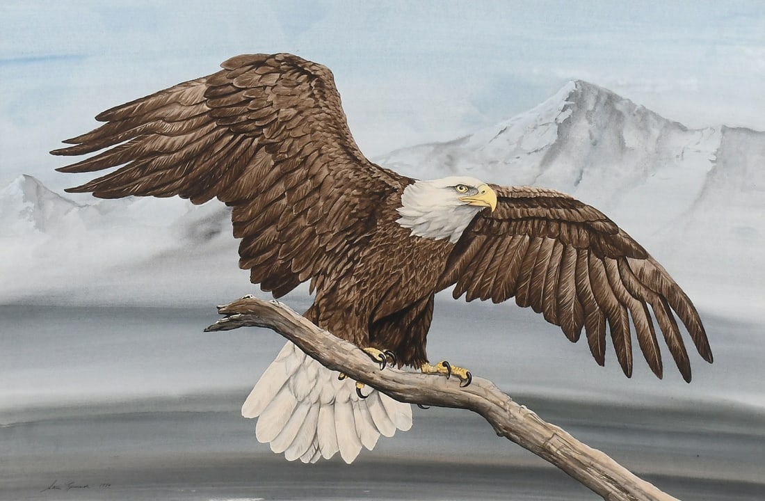 STEVE LEONARDI BALD EAGLE WATERCOLOR (1 of 4)