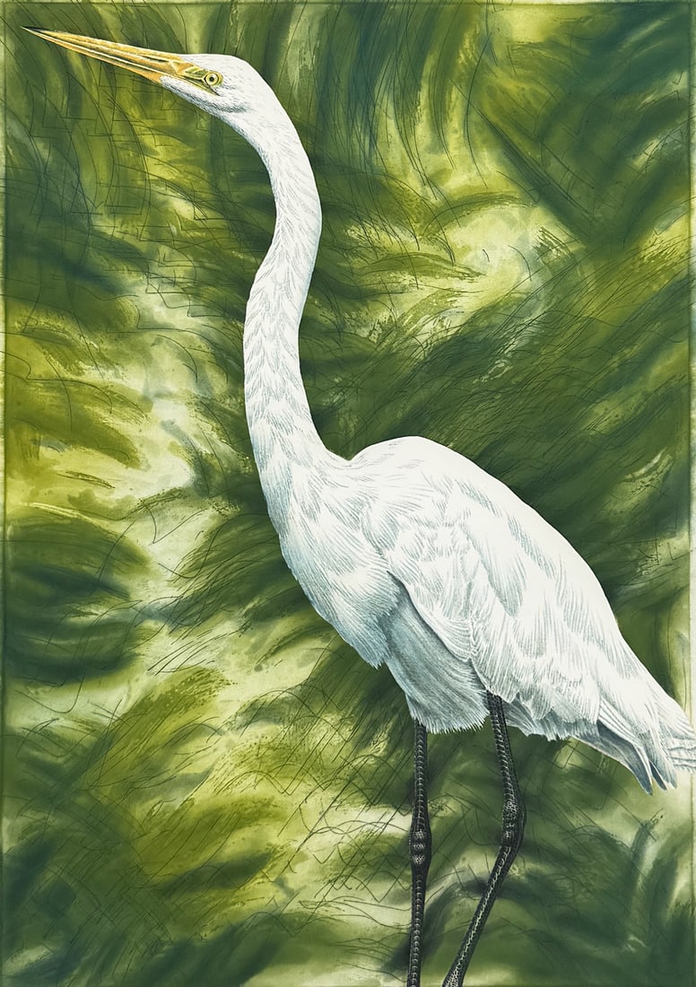 JOHN COSTIN "GREAT EGRET" ETCHING (1 of 3)