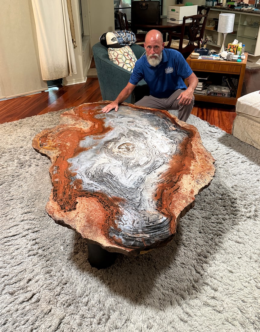 MONUMENTAL POLISHED PETRIFIED WOOD SLAB COFFEE TABLE: MONUMENTAL POLISHED PETRIFIED WOOD SLAB COFFEE TABLE: Impressive, monumental petrified wood slab fashioned as a low coffee or cocktail table. The substantial free-form slab features a highly polished 