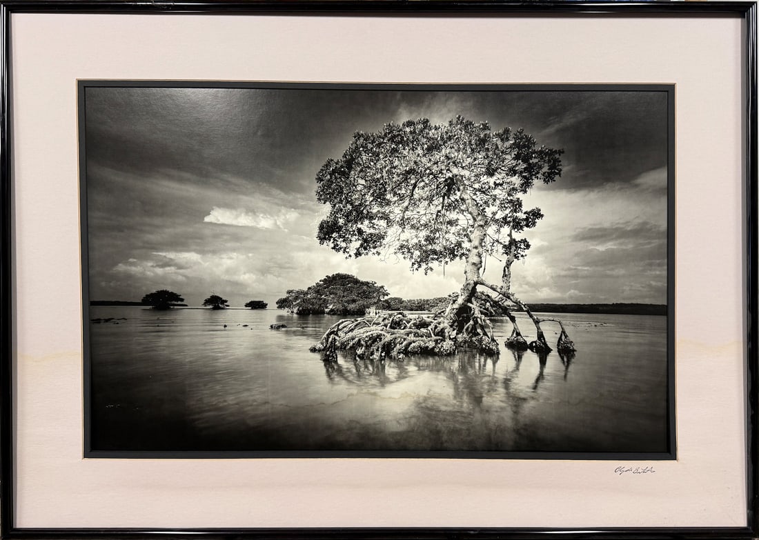 LARGE CLYDE BUTCHER TRI-TONE OFFSET "GASKIN BAY": BUTCHER, Clyde, (American, 1942-): "Gaskin Bay", Tri-tone Offset Print Open Edition of Original Photograph, sight size 19.25" x 31.25", signed on the mat lower right, stamped verso, titled and dated 1