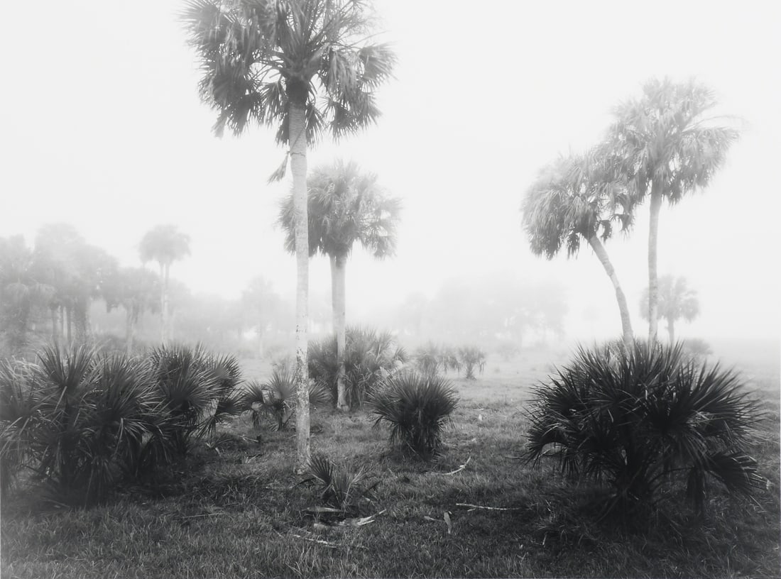 CLYDE BUTCHER "MISTY HAMMOCK" PHOTOGRAPH (1 of 6)